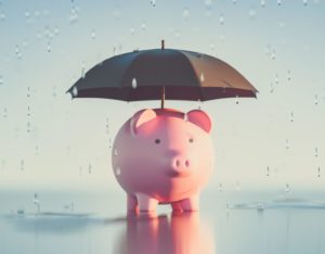 Pig under an umbrella standing in the rain.